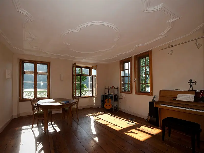 Sala con suelo de tablas de madera y luz natural
