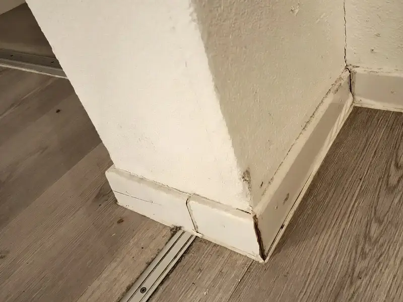 Suelo de lamas grises con aspecto madera y rodapié blanco